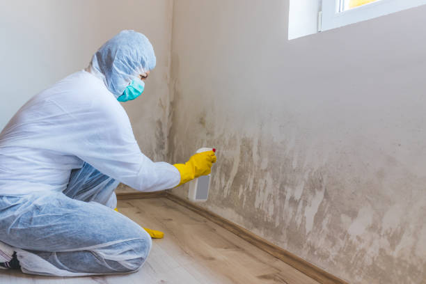 Licensed Commercial Mold Remediation service in Barnesville, GA - WQB Mold Removal