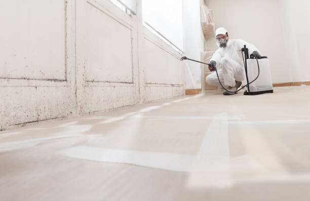 24/7 Emergency Commercial Mold Remediation experts in Barnesville, GA