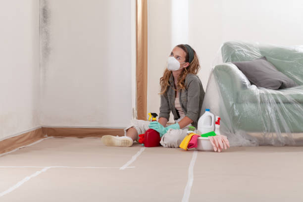 Reliable Commercial Mold Remediation contractor in Barnesville, GA by WQB Mold Removal
