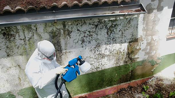 Top rated local Commercial Mold Remediation specialists in Barnesville, GA